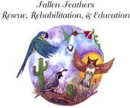 Fallen Feathers Logo